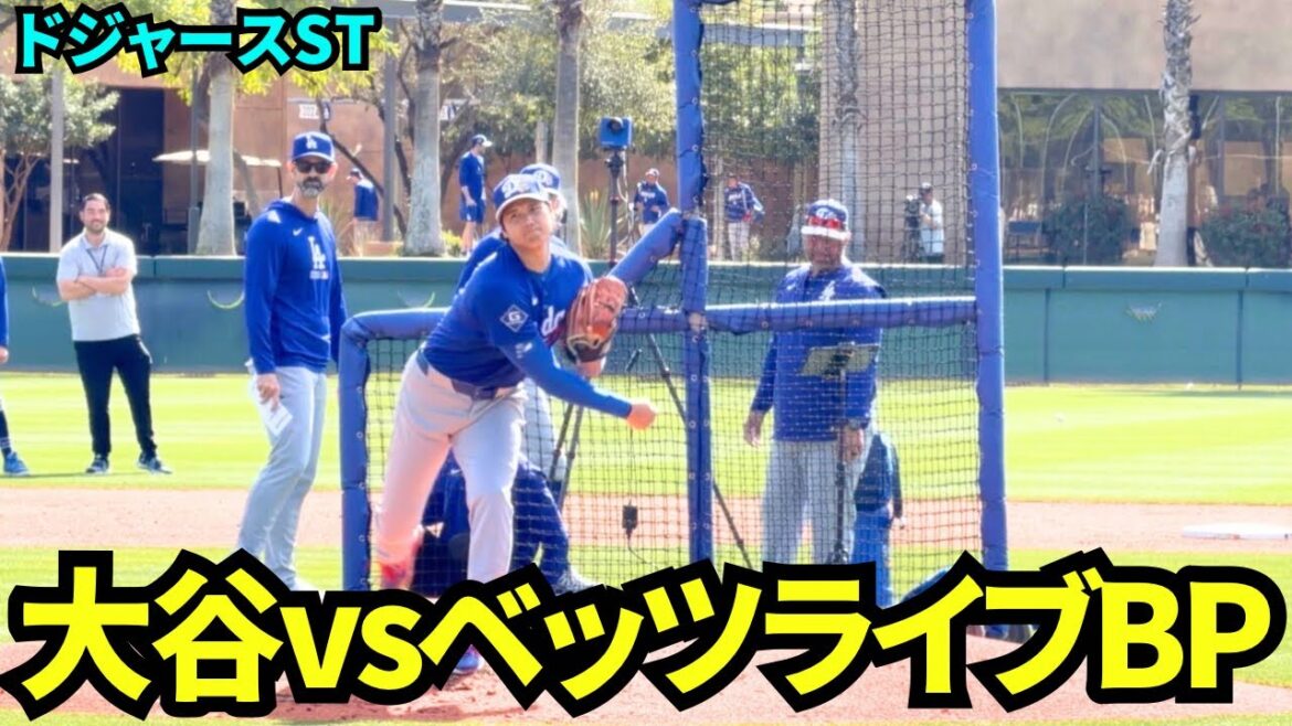 Shohei Otani Live BP 2nd inning! Freeland faces off against Betts and others while Aki Sasaki watches! ![Local footage]2026 Dodgers spring training camp