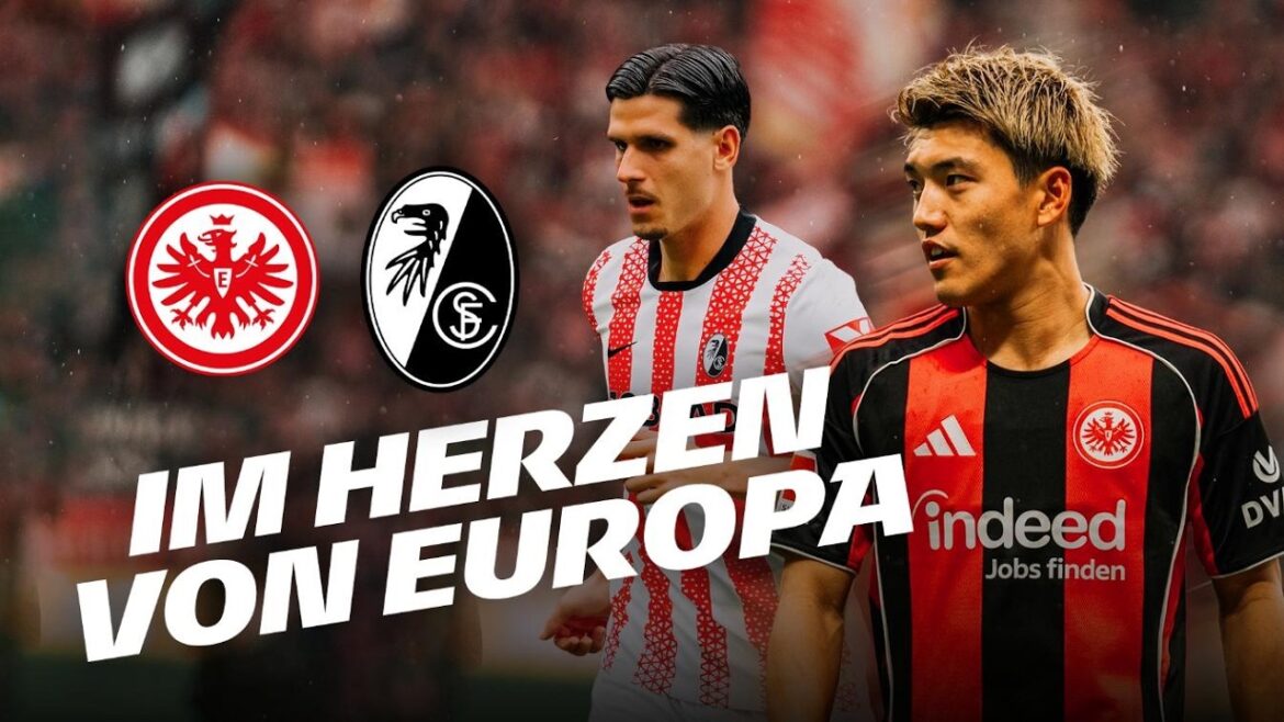 “They want to cause confusion” I In the heart of Europe outside Freiburg