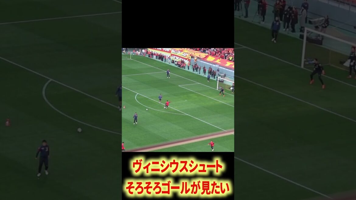 Marcus Vinicius shoots well Marcus Vinicius shoots well