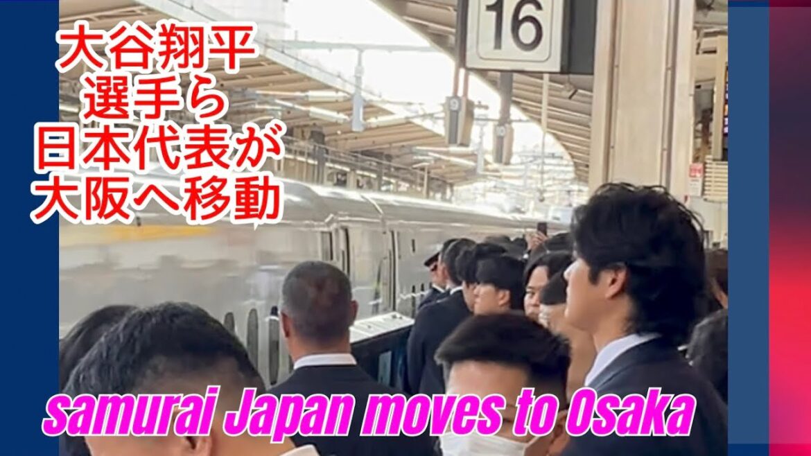 WBC Japan representatives including Shohei Otani travel by Shinkansen from Nagoya to Osaka. I immediately understood Shohei Otani because he was a great person, including security and fans #wbc #Japan National Team #Samurai Japan #Nagoya Station WBC Japan representatives including Shohei Otani travel by Shinkansen from Nagoya to Osaka. I immediately understood Shohei Otani because he was a great person, including security and fans #wbc #Japan National Team #Samurai Japan #Nagoya Station