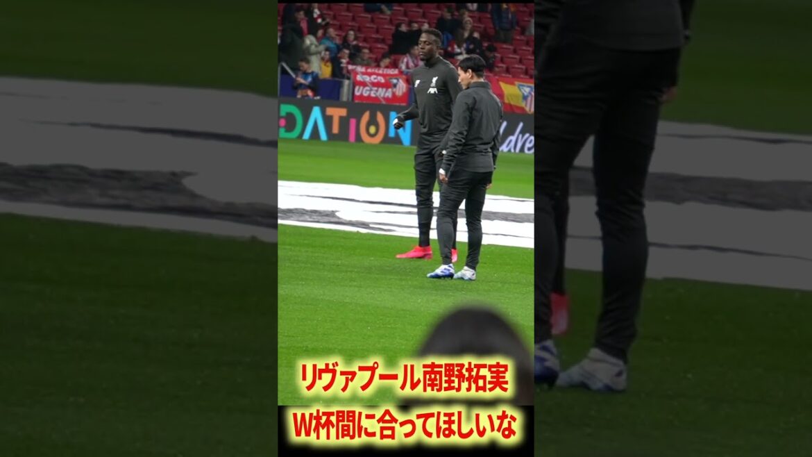 The best relationship between Minamino and Firmino