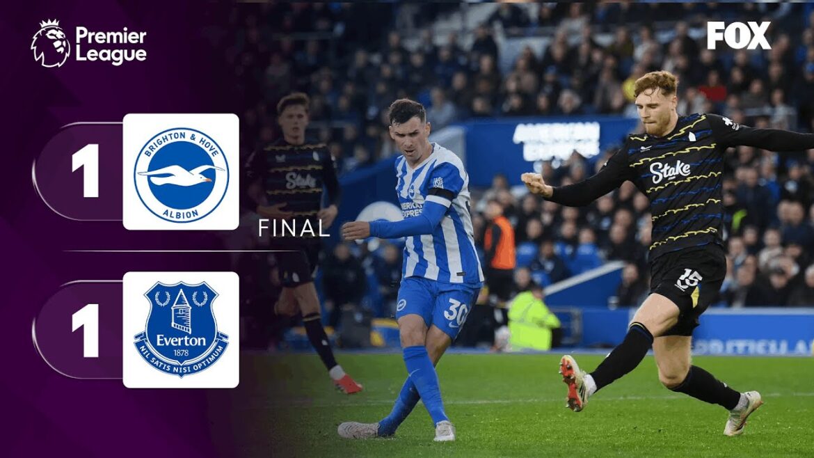 BRIGHTON 1-1 EVERTON | SUMMARY | PREMIER LEAGUE | DAY 24