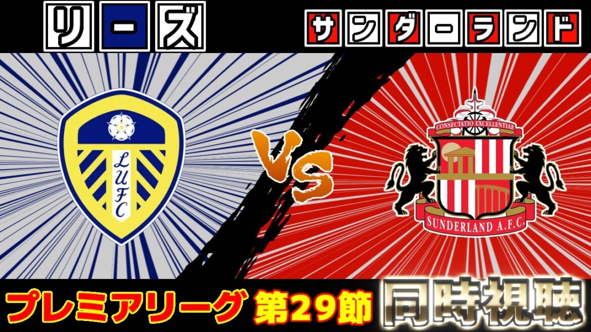 [Aoi Tanaka]Leeds vs Sunderland | Premier League