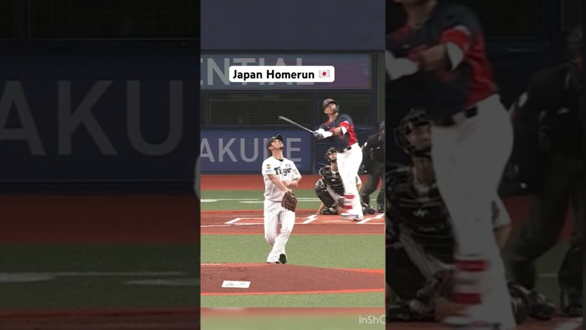 Seiya Suzuki HR In Exhibition ❗️🔥#japan #npb #mlb #mlbb #baseball #sports #mlbshorts #espn #fypシ Seiya Suzuki HR In Exhibition ❗️🔥#japan #npb #mlb #mlbb #baseball #sports #mlbshorts #espn #fypシ