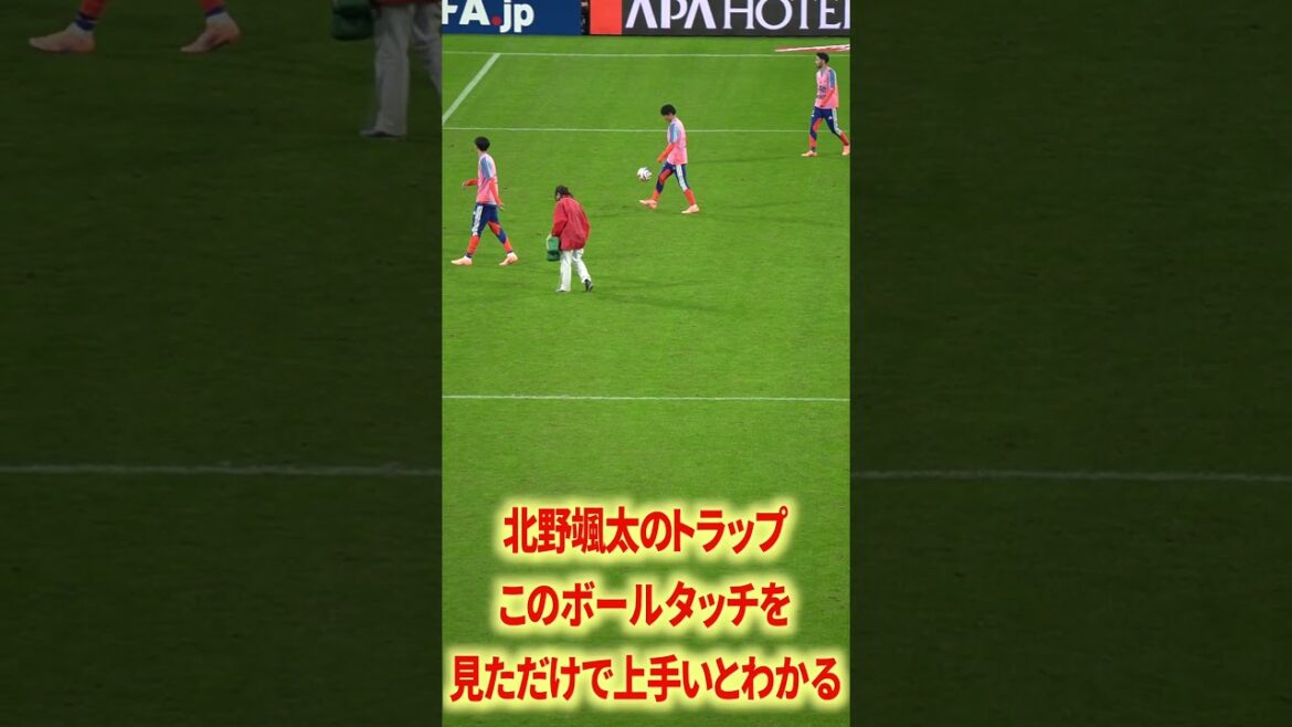 The live Japanese national team is really interesting.