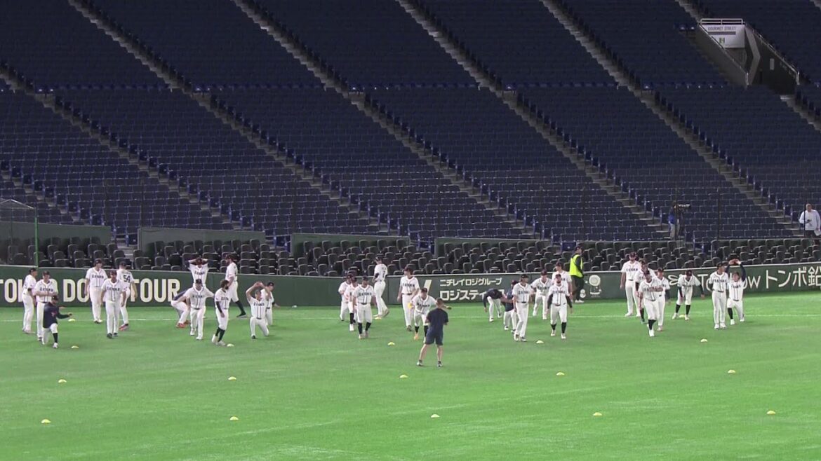 [LIVE]Former giant Fulp and others appear! WBC national representative official training