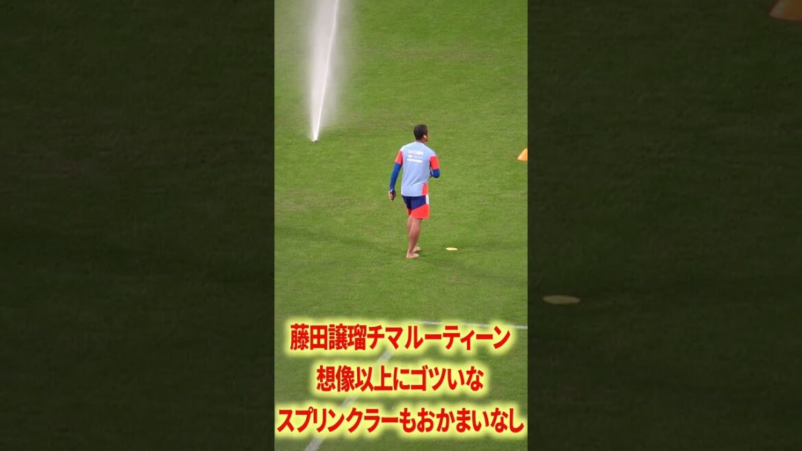 Japanese national team goalkeeper's aura is disgusting
