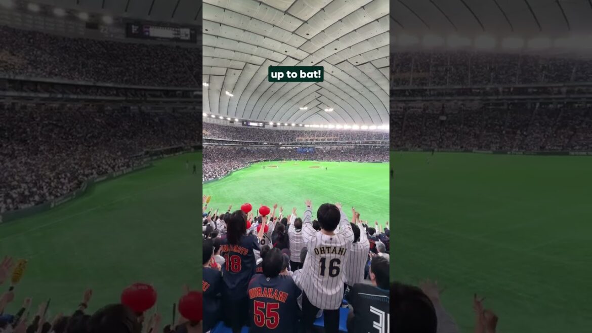 This Seiya Suzuki chant is AWESOME! (VOLUME UP 🔊)