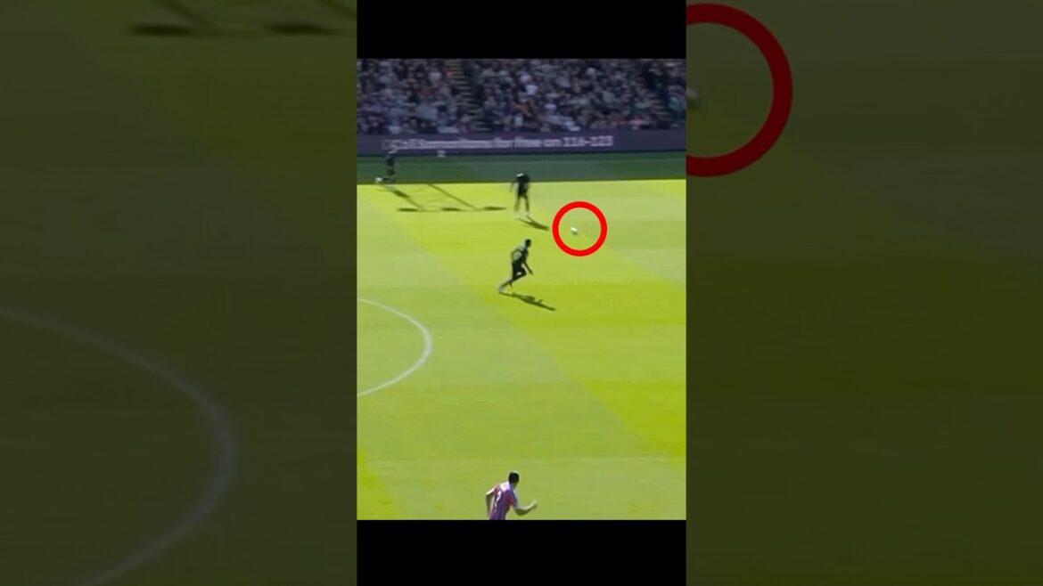 Monopod flash! The day Daichi Kamata excited the audience with his technique Aripasu! #Soccer #Daichi Kamata