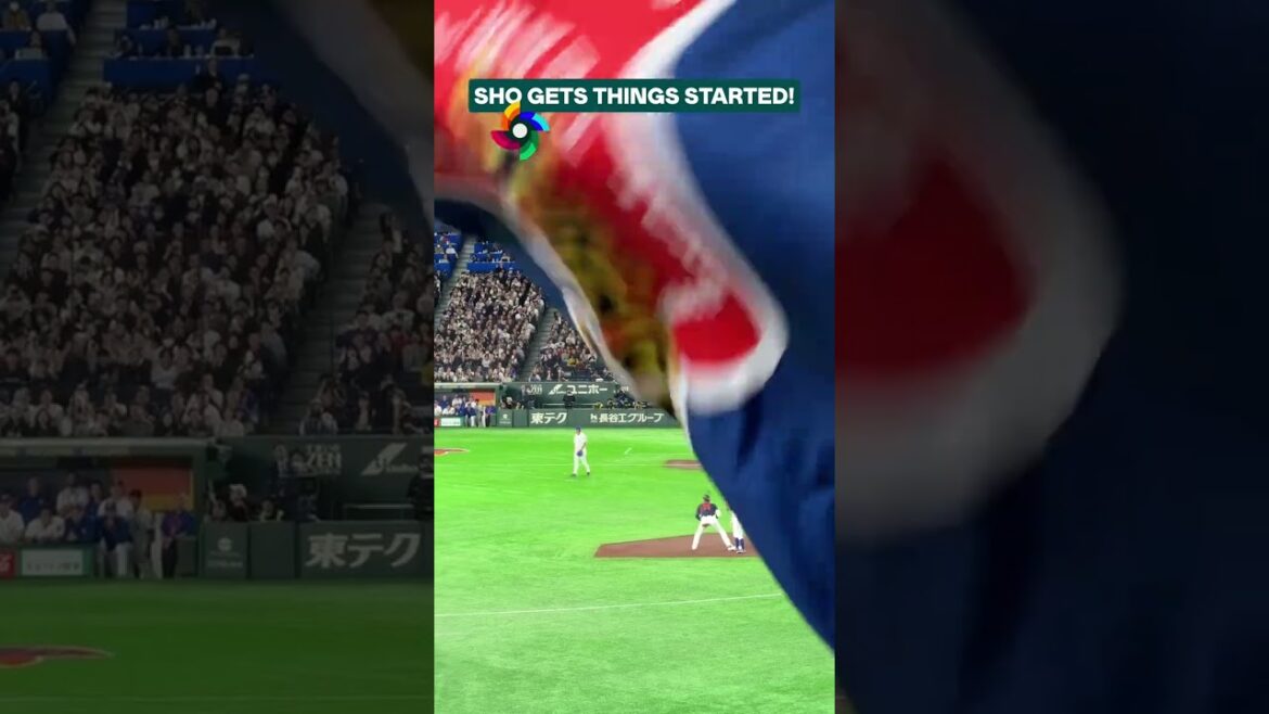 Shohei Ohtani from the stands! 🤩 #WorldBaseballClassic