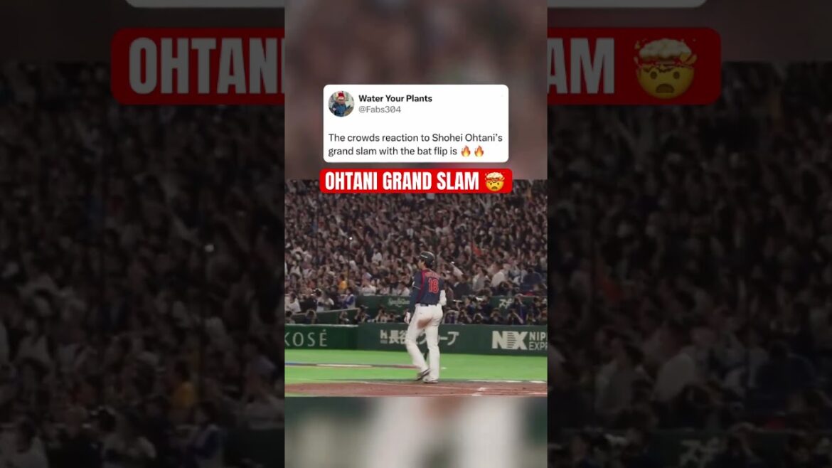 Shohei Ohtani bat flip after grand slam 🔥😮💨 (@MLB , @foxsports ) Shohei Ohtani bat flip after grand slam 🔥😮💨 (@MLB , @foxsports )