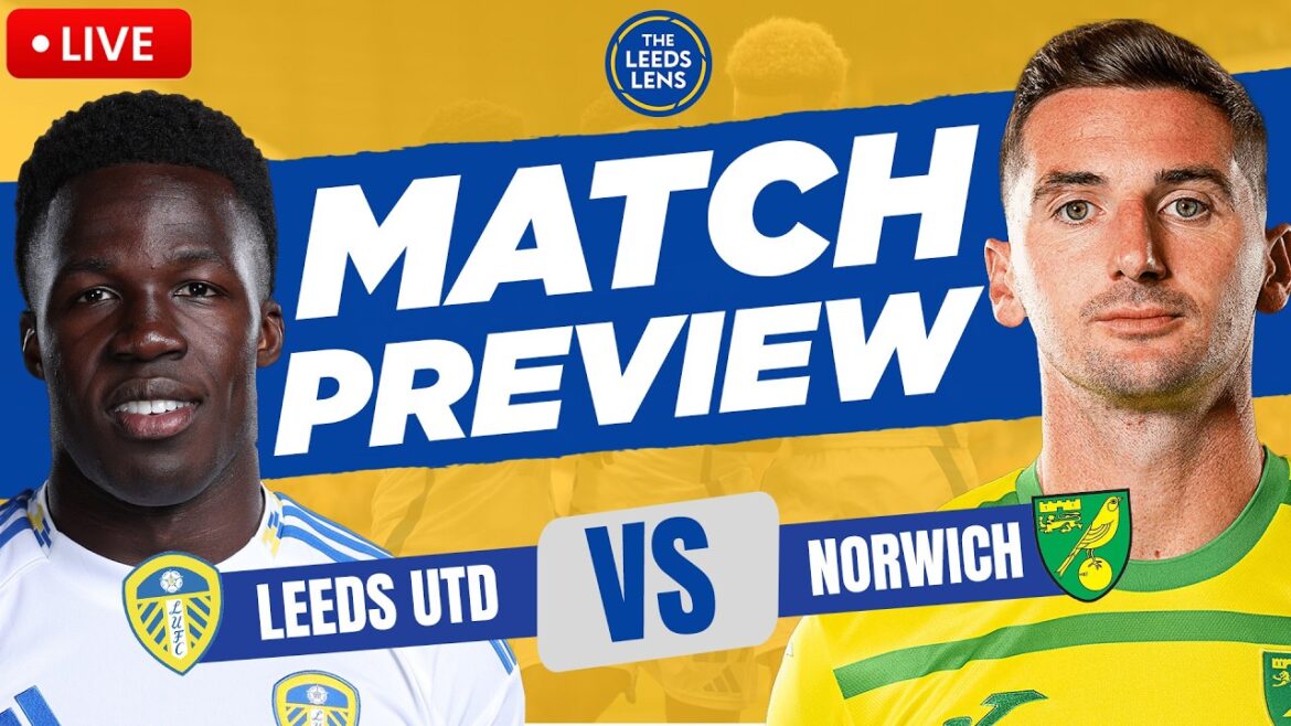 “TAKE YOUR CHANCE" | Leeds vs Norwich | Match Preview!