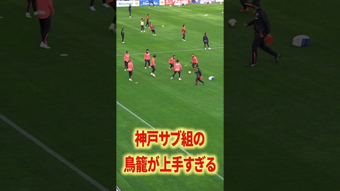 It's so fun to watch the ball roll