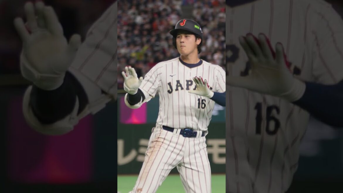 This field view of Shohei Ohtani's home run ✋ #WorldBaseballClassic