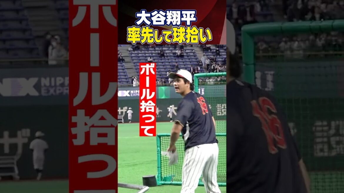 [Shohei Otani takes the initiative to pick up the ball]“Pick up the ball” I was moved by his appearance in a scene of Samurai Japan batting practice | Coverage before the game against Korea | World Baseball Classic (WBC) #shorts