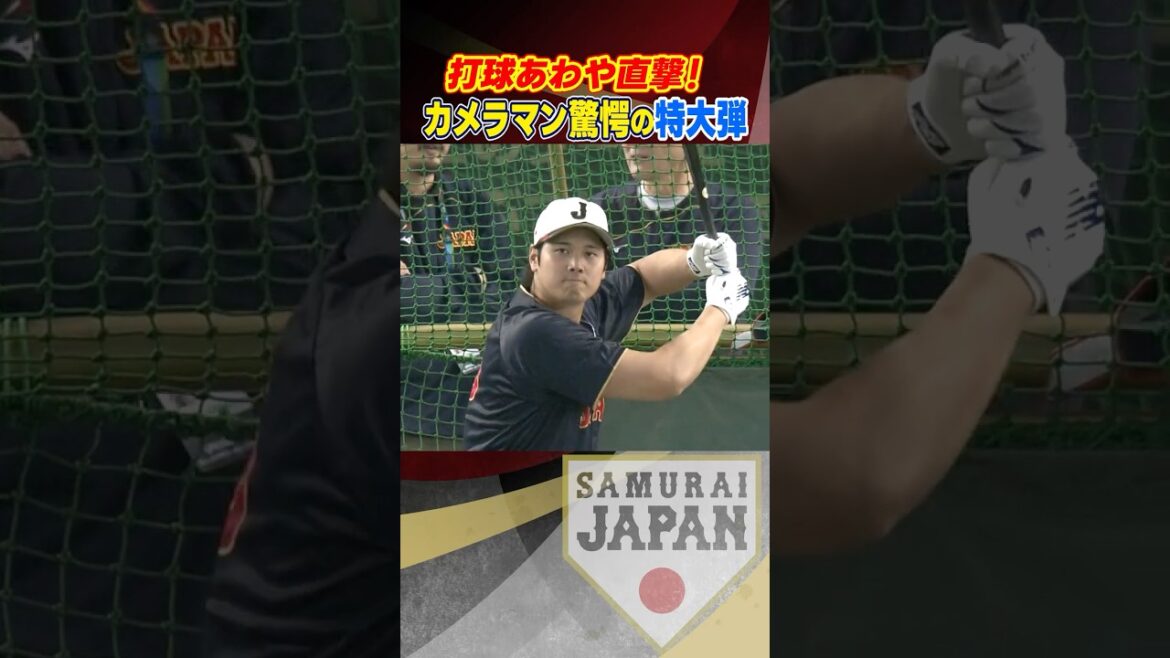 [The ball almost hit directly! ]Shohei Otani's extra-large bullet that even the cameraman was surprised by | Coverage before the game in Korea | World Baseball Classic (WBC) #shorts
