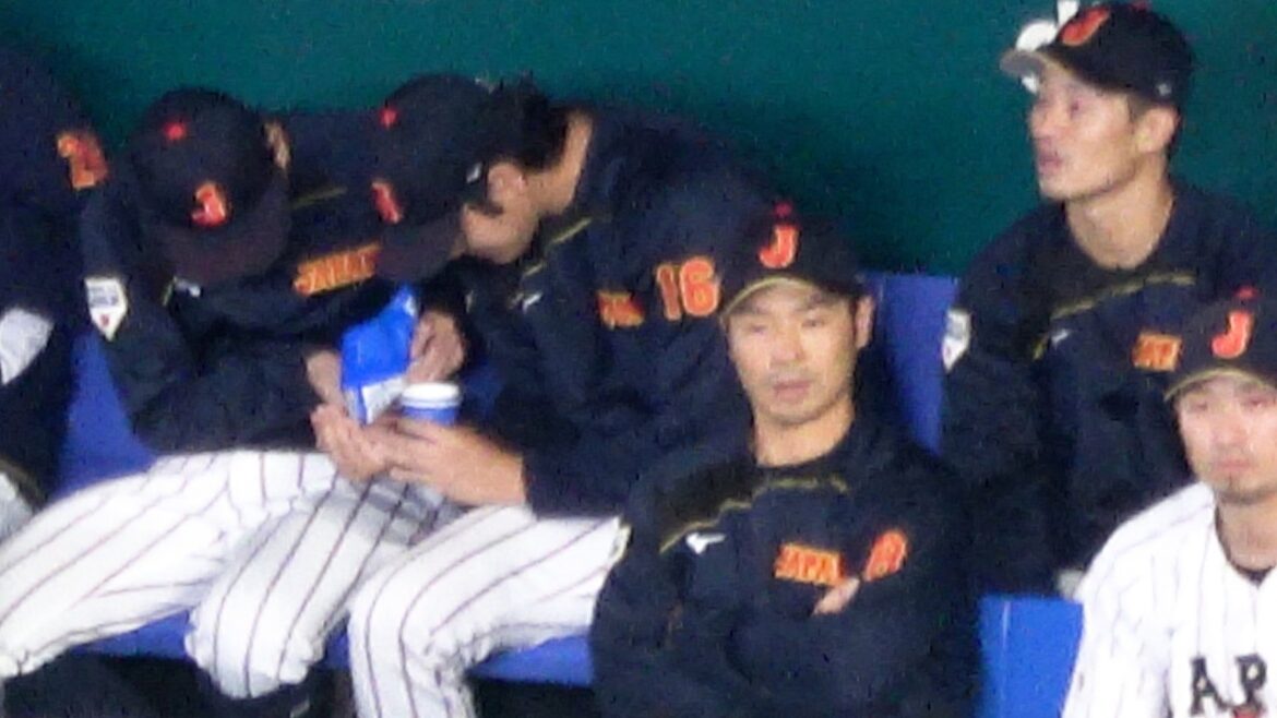 [Shohei Otani]What I love is “Sunflower Seed” Local video[WBC2026]