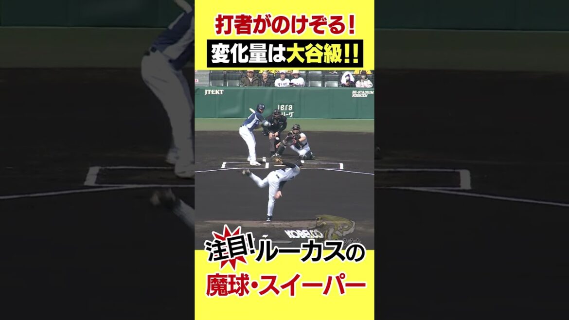 [Special news! ]Hanshin brought Shohei Otani! ? #Hanshin Tigers #Hanshintigers #Toraban Channel #Professional Baseball #shorts #shortvideo #Sweeper #Shohei Otani #Lucas