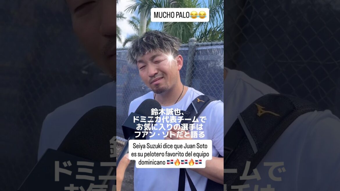 [Seiya Suzuki, who is your favorite player on the Dominican national team? ]#Seiya Suzuki #seiyasuzuki