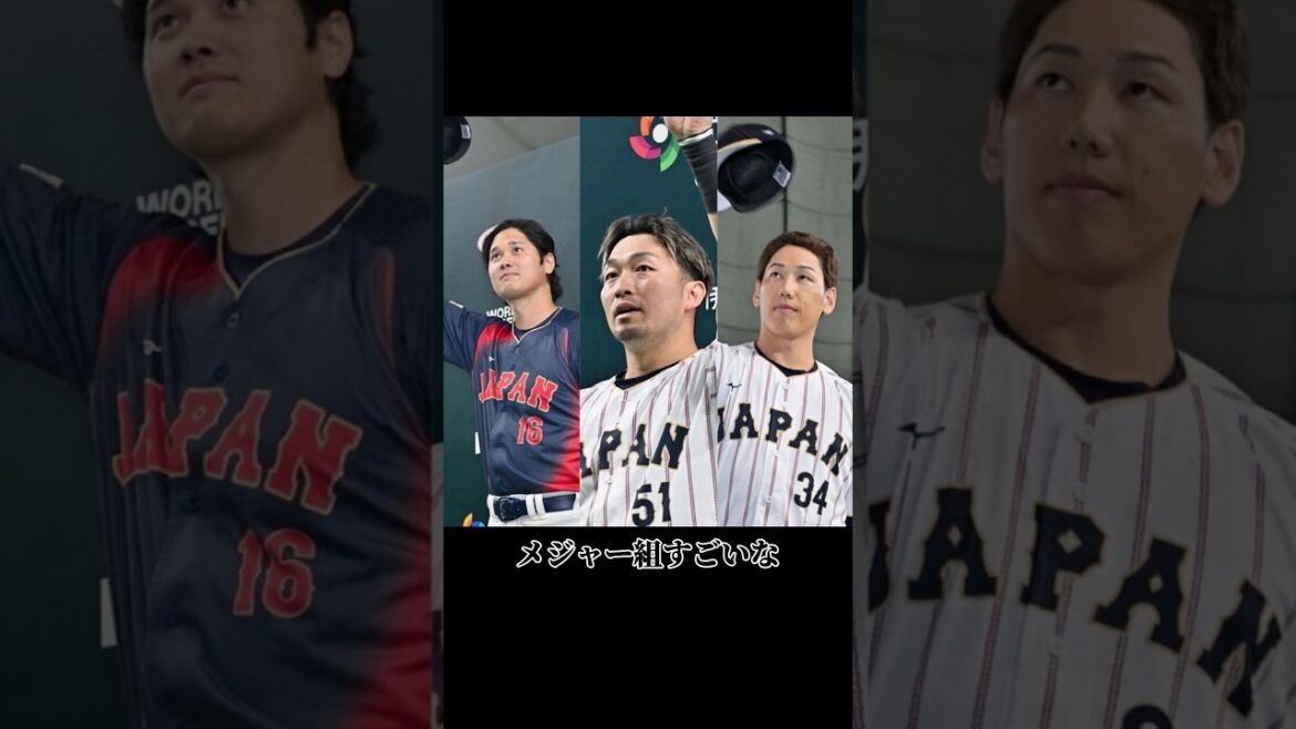 Ibata Japan is great.