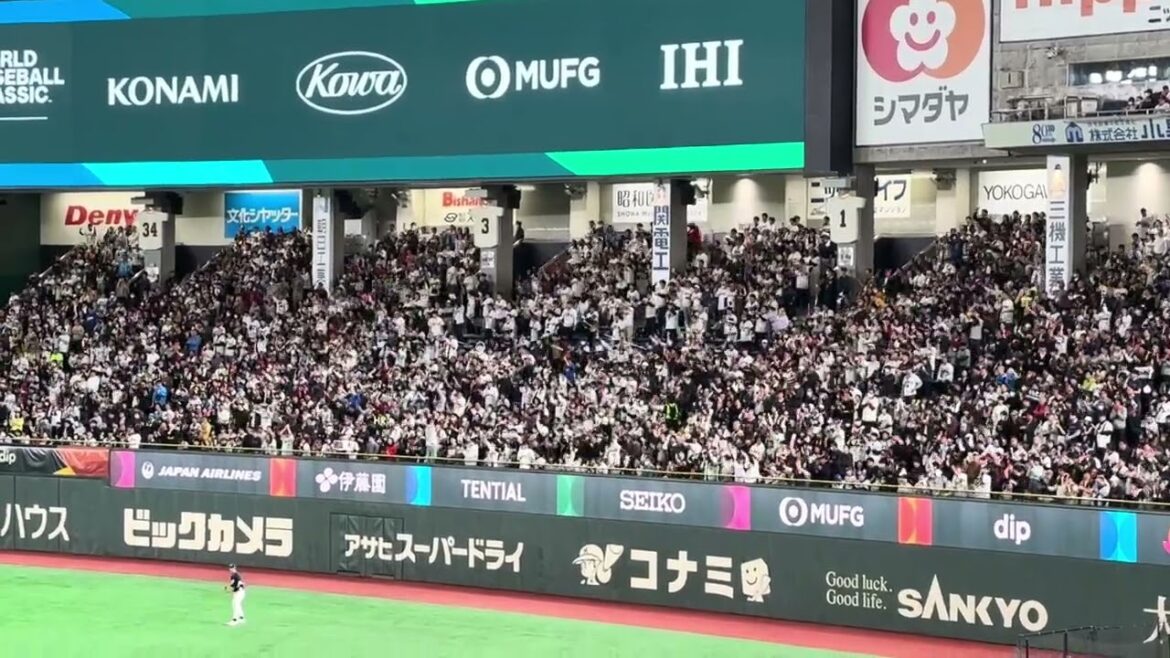 WBC2026 Seiya Suzuki cheering song[SAMURAI JAPAN]