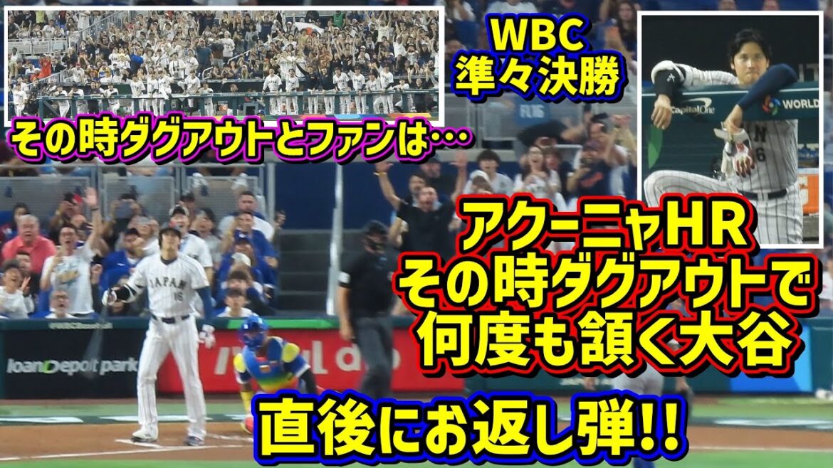 The best!! ️The moment Otani's fighting spirit was ignited 🔥 The first batter returned HR 😠 At that moment, the dugout was... Thank you Samurai Japan[Local video]WBC quarterfinals vs. Venezuela ShoheiOhtani