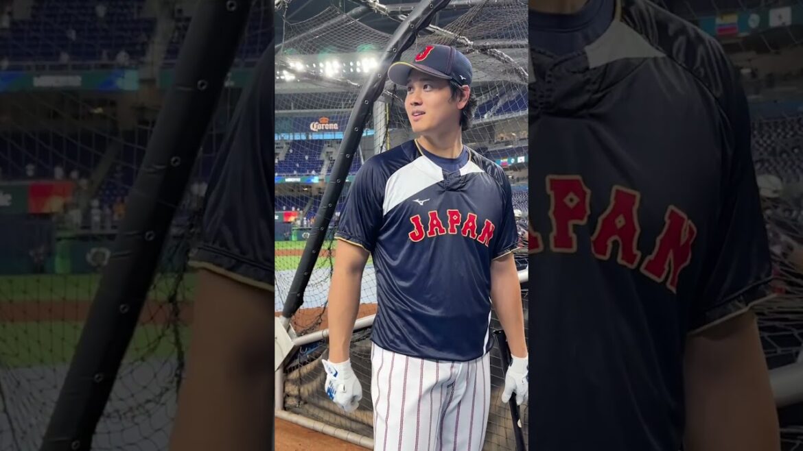 Lars Nootbaar was given the "Ohtani pass" and reunites with Shohei! 🤣 #WorldBaseballClassic
