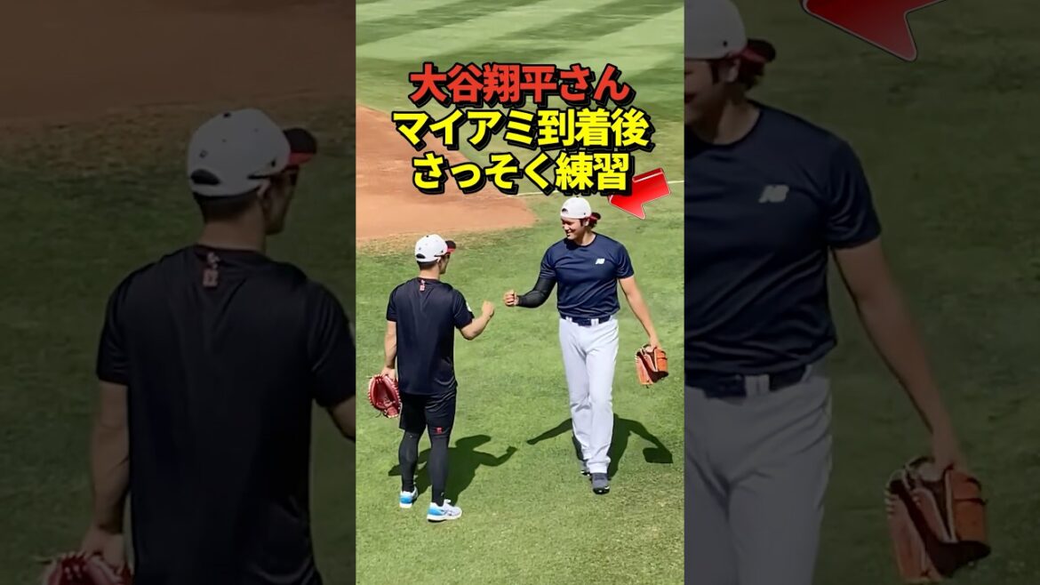 SAMURAI JAPAN arrives in Miami! It became a hot topic that Shohei Otani practices faster than anyone else!