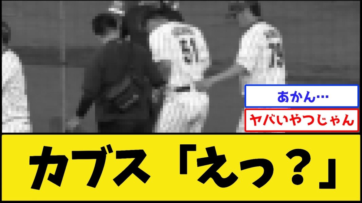 [Cubs Buchigire]Seiya Suzuki passes away[Samurai Japan][Professional Baseball Nan J 2ch Professional Baseball Reaction Collection]