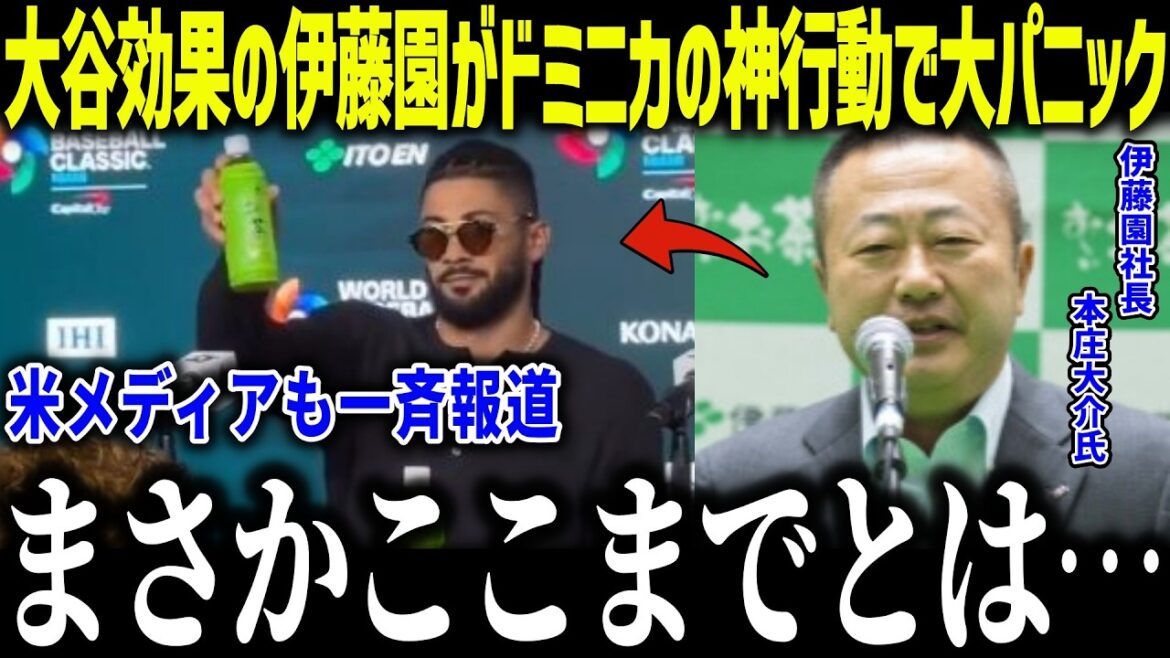 [Shohei Otani]Ito En panics over Dominican national team appearing in commercial! "The reaction is abnormal..." Otani sponsor's presence in WBC is too abnormal[Overseas reaction/MLB/Major/Baseball]