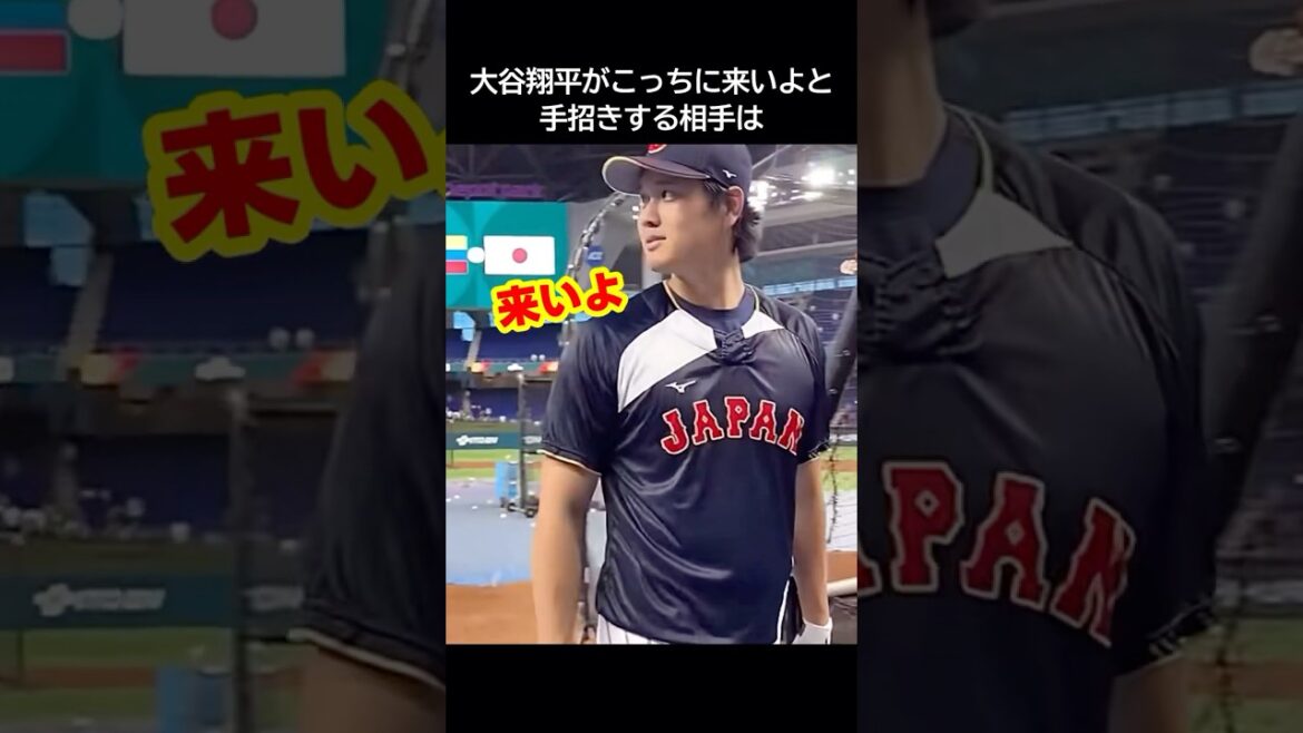 Nootobar is excited about Shohei Otani's special treatment at WBC! #wbc #Shohei Otani #Nutobar