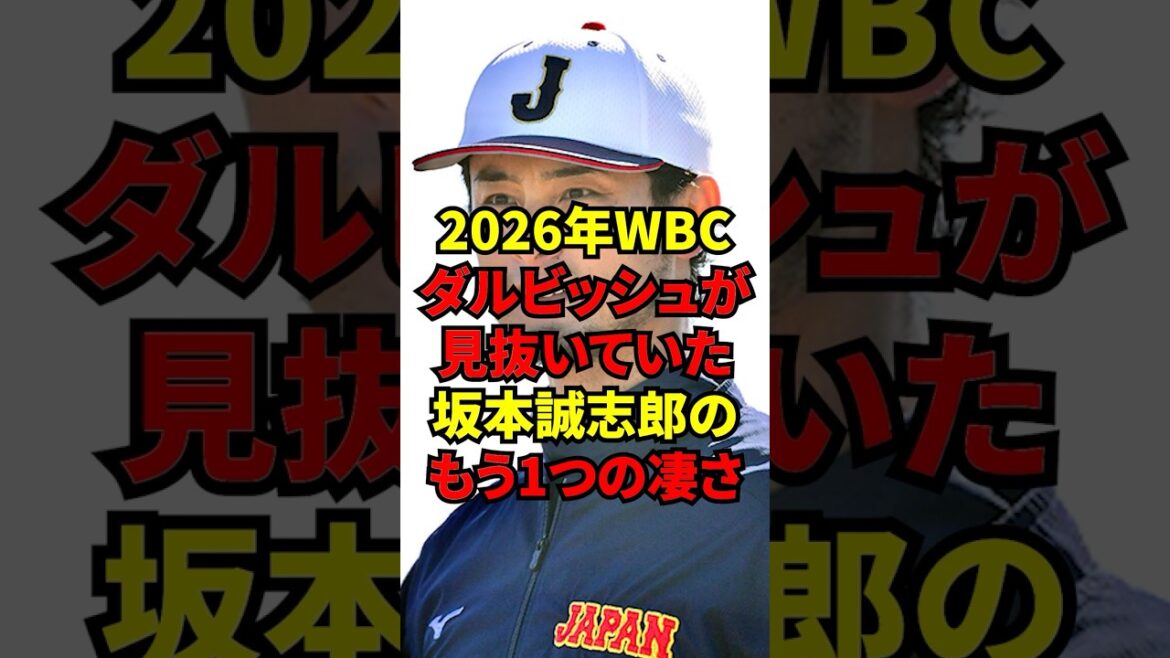 "Samurai Japan's regular catcher is..." Darvish revealed his true feelings when he saw Seishiro Sakamoto up close for the first time.