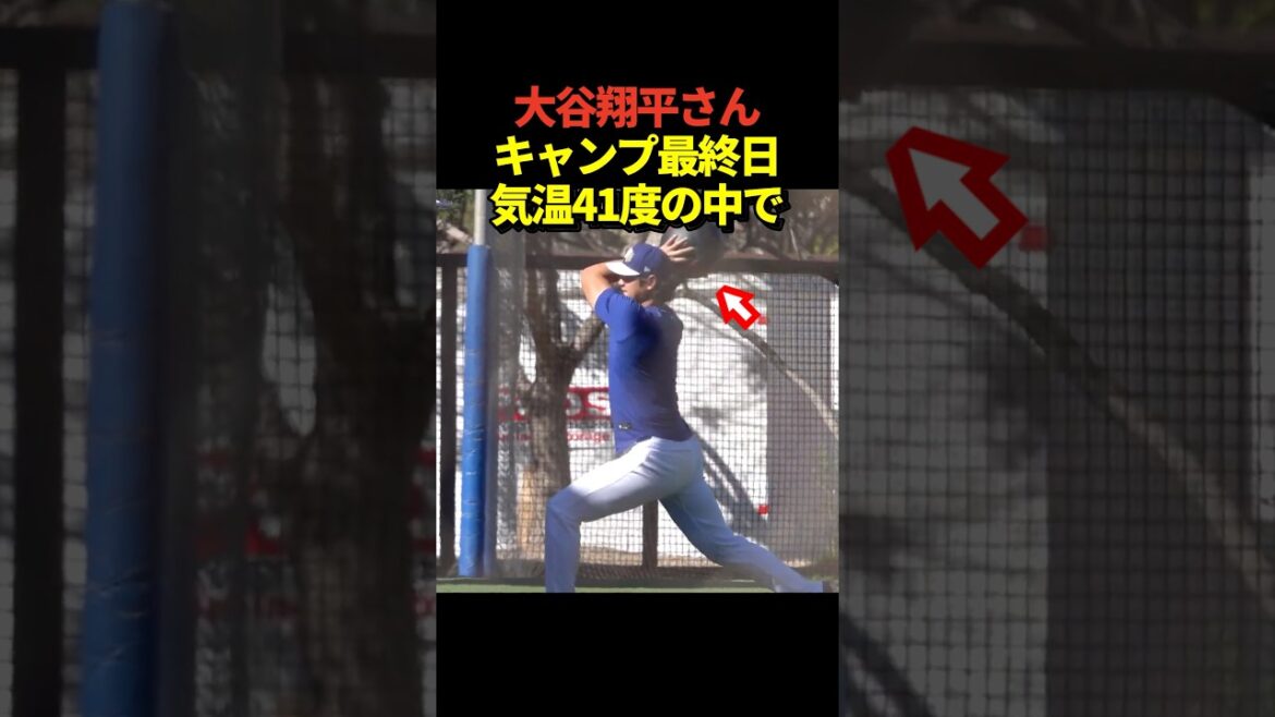 Pitcher Shohei Ohtani practices hard on the final day of camp in Arizona with a temperature of 41 degrees!