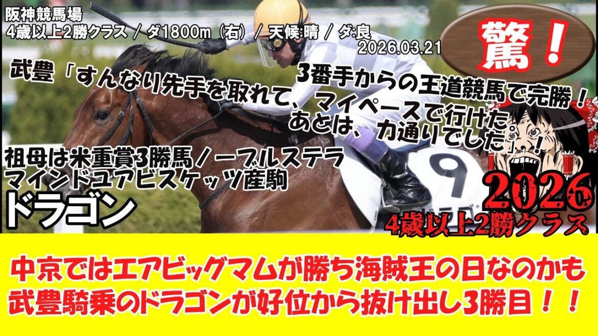 Maybe today is Pirate King's Day! ? Complete victory in the royal horse race! 4 years old and over 2 wins class (2026.03.21・Hanshin 8R) 2026 / Dragon