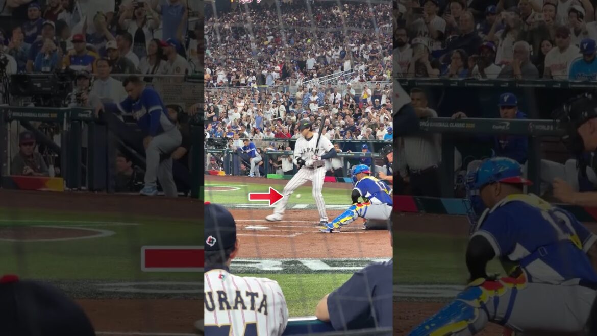 I can’t stop praising and being moved by Shohei Otani’s actions😭 I can't stop praising and being moved by Shohei Otani's actions😭