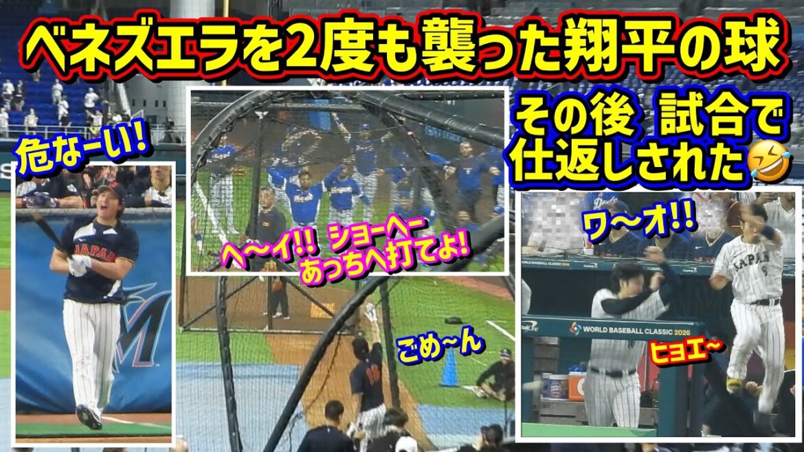 Counterattack⁉️Team Venezuela attacked during Otani's batting practice 😱 Then, unexpected... 🤣[Local footage]WBC quarterfinals vs. Venezuela ShoheiOhtani
