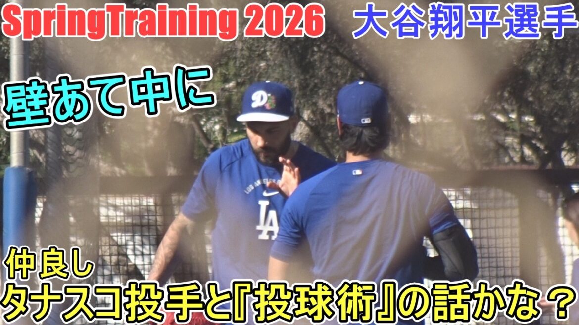♦️ Warm up by hitting the wall ♦️ Talking about pitching techniques with good friend pitcher Tanasko?[Shohei Ohtani]~Sputure~Shohei Ohtani 2026 Spring Training