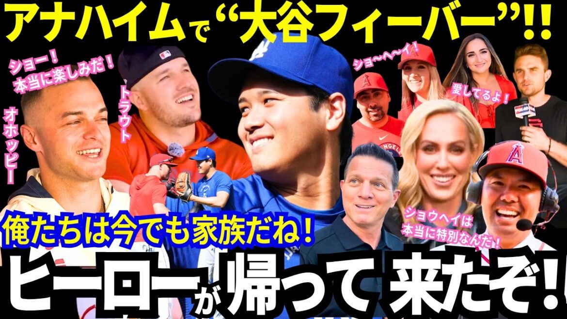 Anaheim is crazy about Shohei Otani! “The hero is back!” A former colleague becomes the new manager and coach! Reunion at this place is super emotional! Crazy messages from former Angels teammates and media![MLB/Dodgers]
