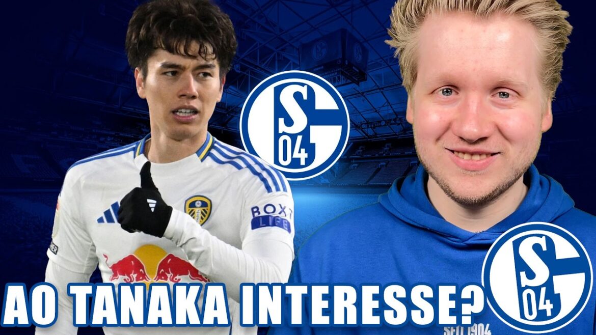 Will Ao Tanaka from Leeds United join S04 for promotion? - Schalke News