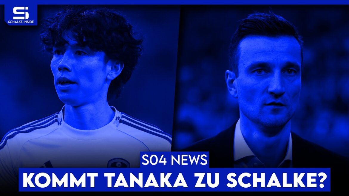 Schalke wants Tanaka! Danger of being blocked! Rebooting the Geno? Squad width too bad? | S04 NEWS