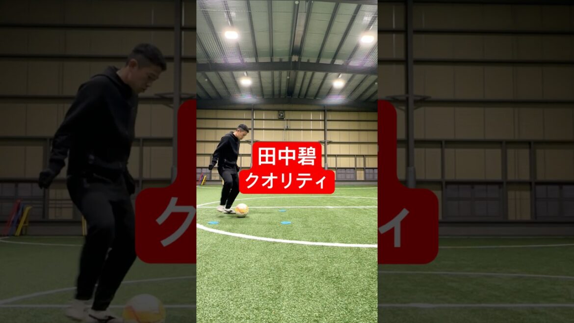 Ao Tanaka quality stopping and kicking