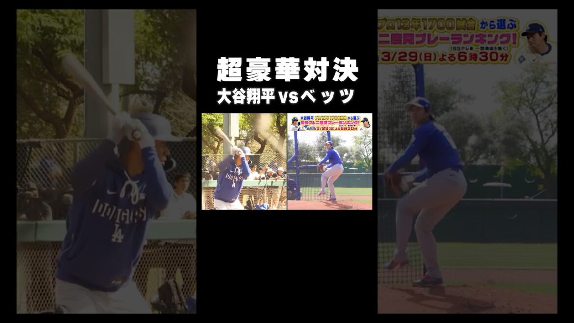 A super gorgeous showdown between #Shohei Otani🆚 and #Betts has come true🔥!! ️ #shorts #MLB #Dodgers