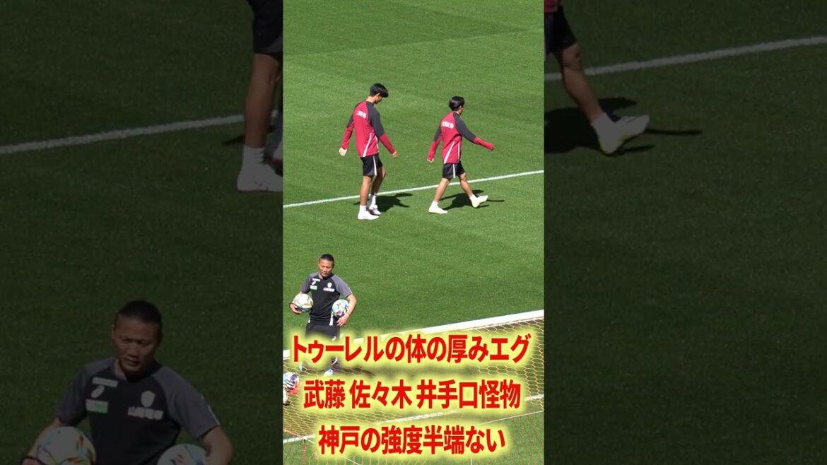 Tourel’s body is so thick Tourel's body is so thick