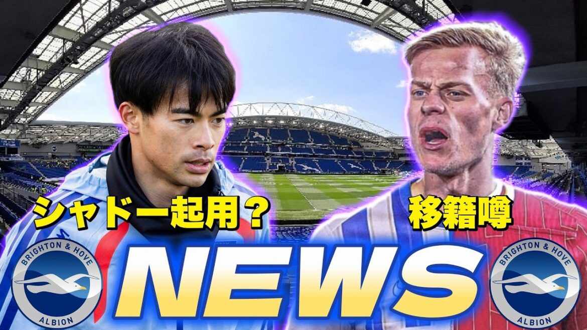 Brighton NEWS summary!