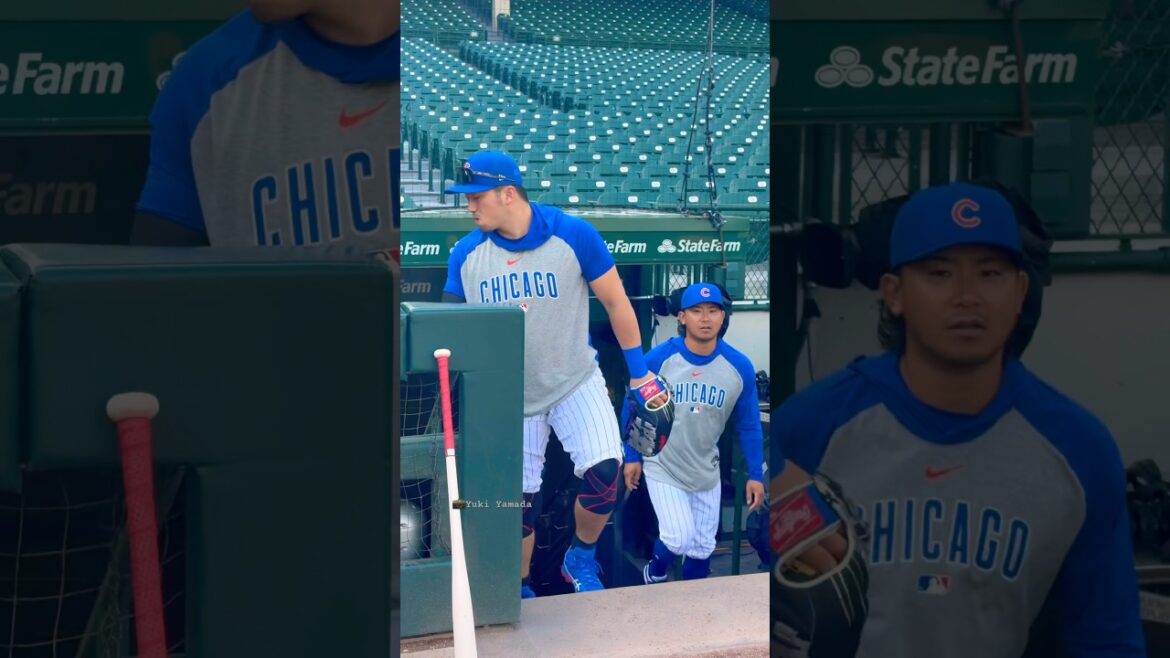 #Suzuki Seiya appeared with a hint of humor (⁈). Pitcher Shota Imanaga also