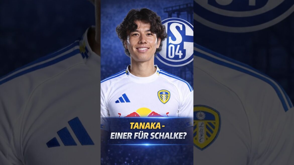 IS TANAKA ONE FOR SCHALKE? 🔵⚪⚒️ IS TANAKA ONE FOR SCHALKE? 🔵⚪⚒️