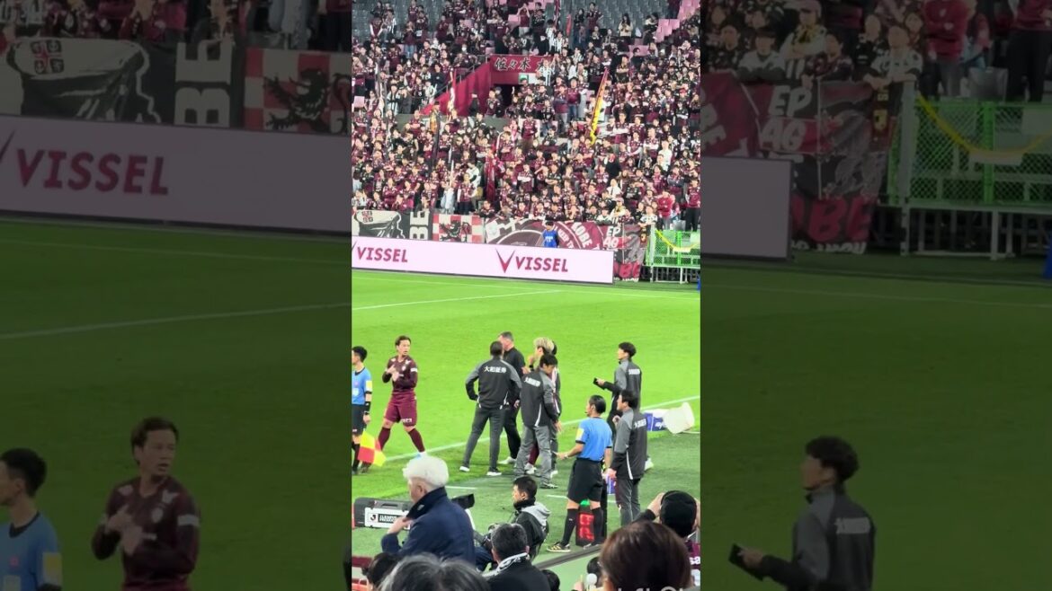 I'm going to replace you. I'm so close to being scammed.