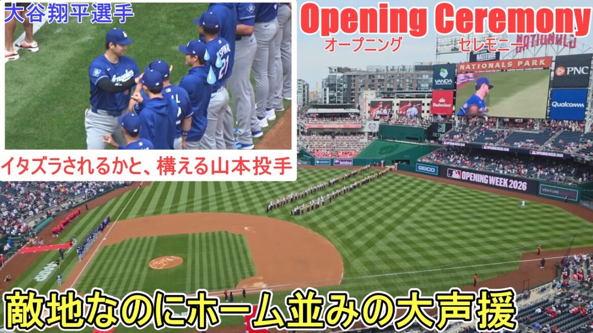 ♦Opening Ceremony♦Even though it was enemy territory, the cheers were as loud as at home![Shohei Ohtani]vs. Nationals ~ Series first game ~ Shohei Ohtani vs Nationals 2026