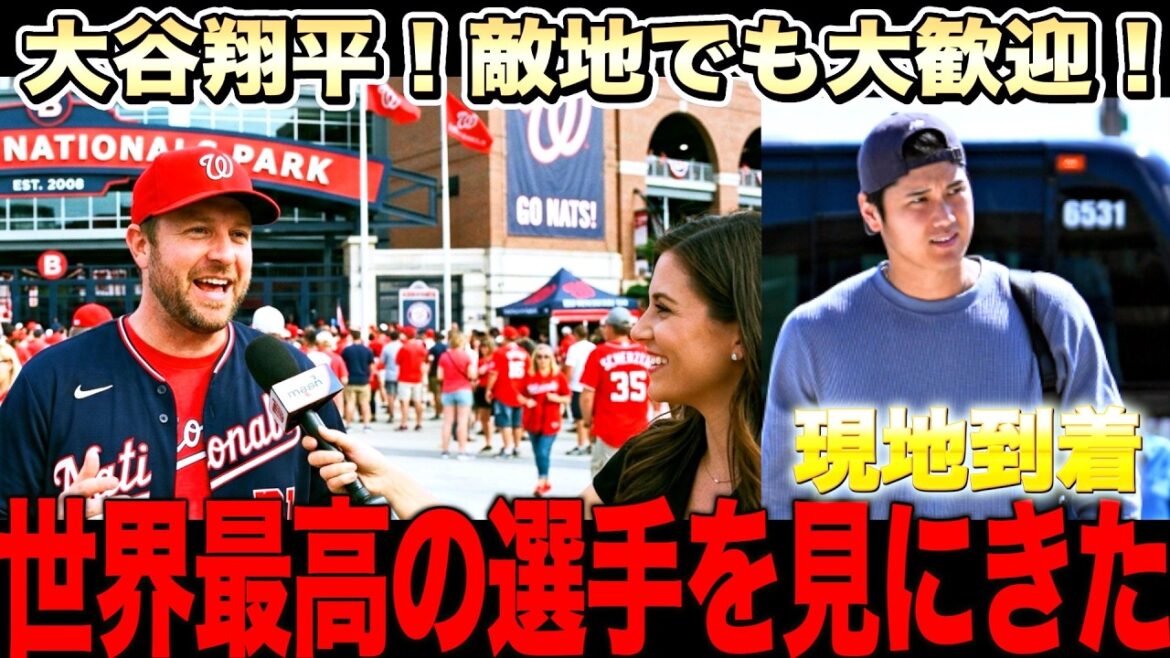 [Welcome]Why Shohei Otani is welcomed in Washington! Dodgers to next game against Nationals