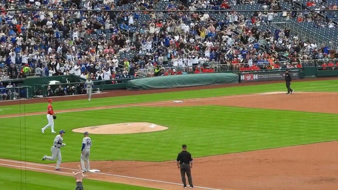 Shohei Otani's No. 2 home run The audience stood up! From a different angle! The people screaming in the back are Nationals fans! It's okay because Otani is a global icon! I was screaming #shoheiohtani #dodgers